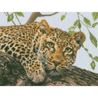 Cross-stitch stamped Aida `Leopard`, 40cm x 30cm, Collection D`Art