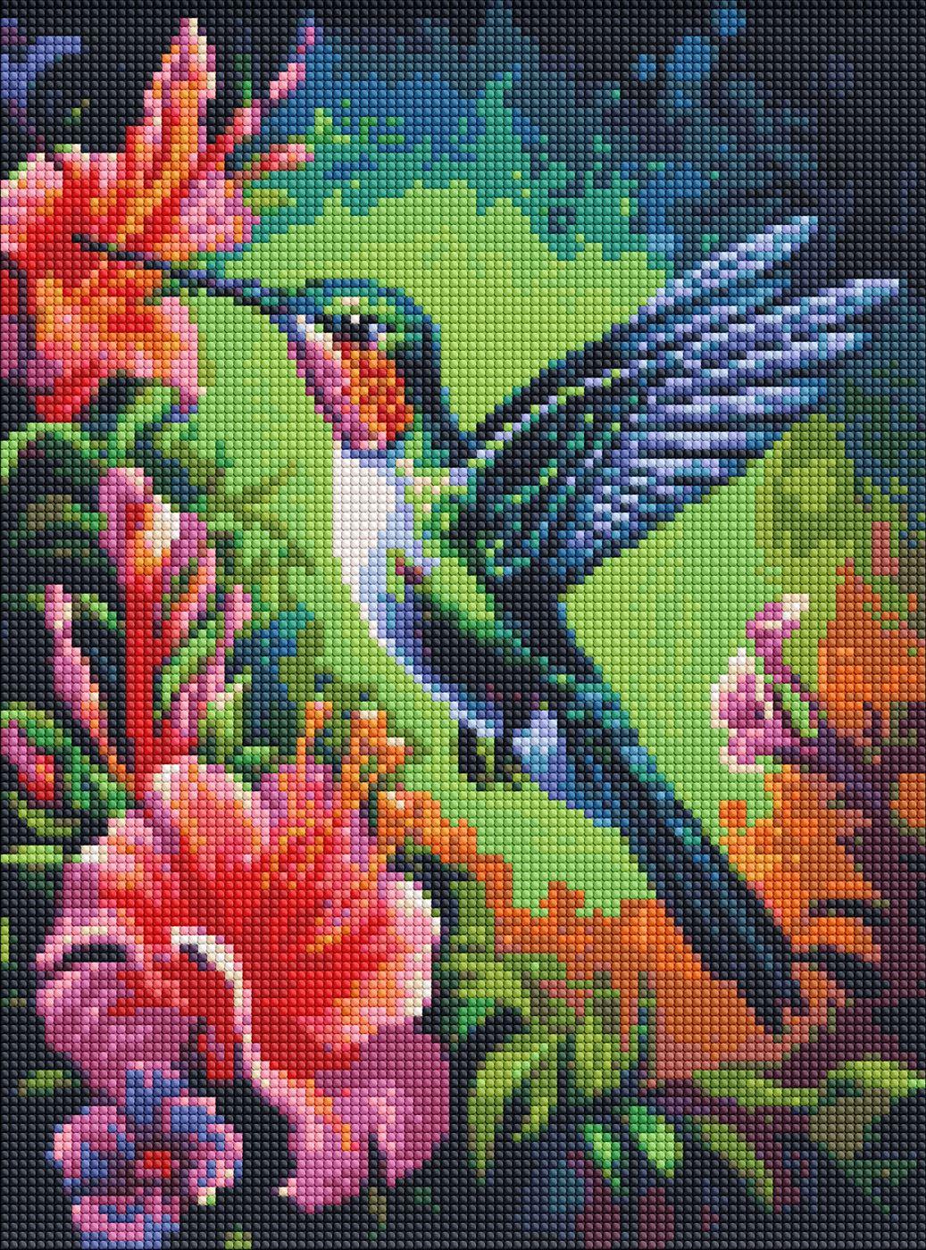 Diamond Mosaic Kolibri 30x40cm