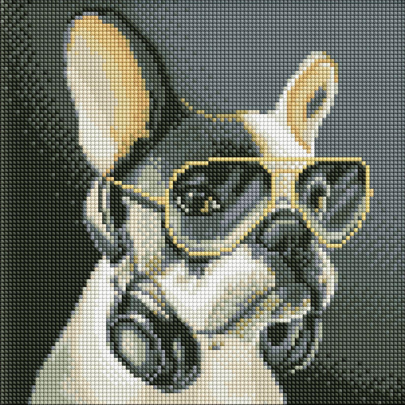 Diamond Mosaic Kuca  DJ  30x30cm