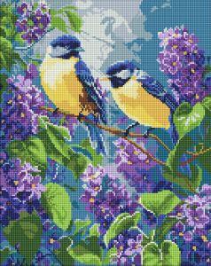 Diamond Mosaic Prolećni duet 40x50cm