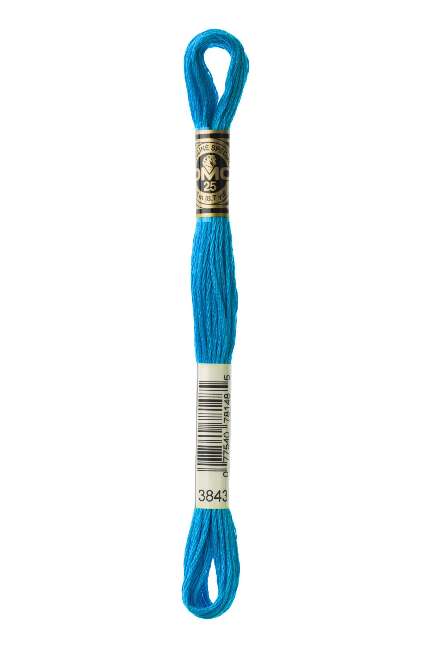 DMC MOULINE 3843