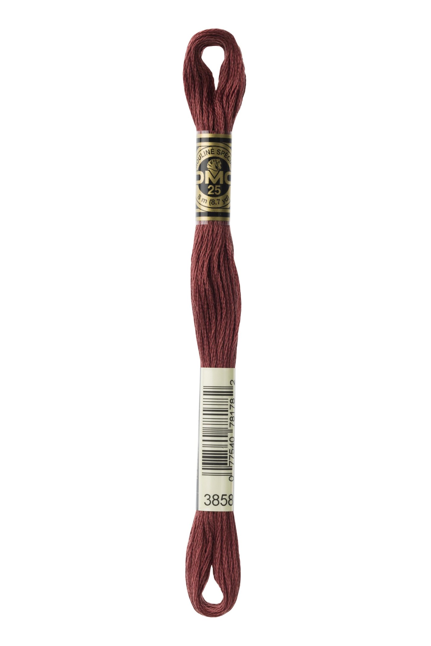 DMC MOULINE 3858