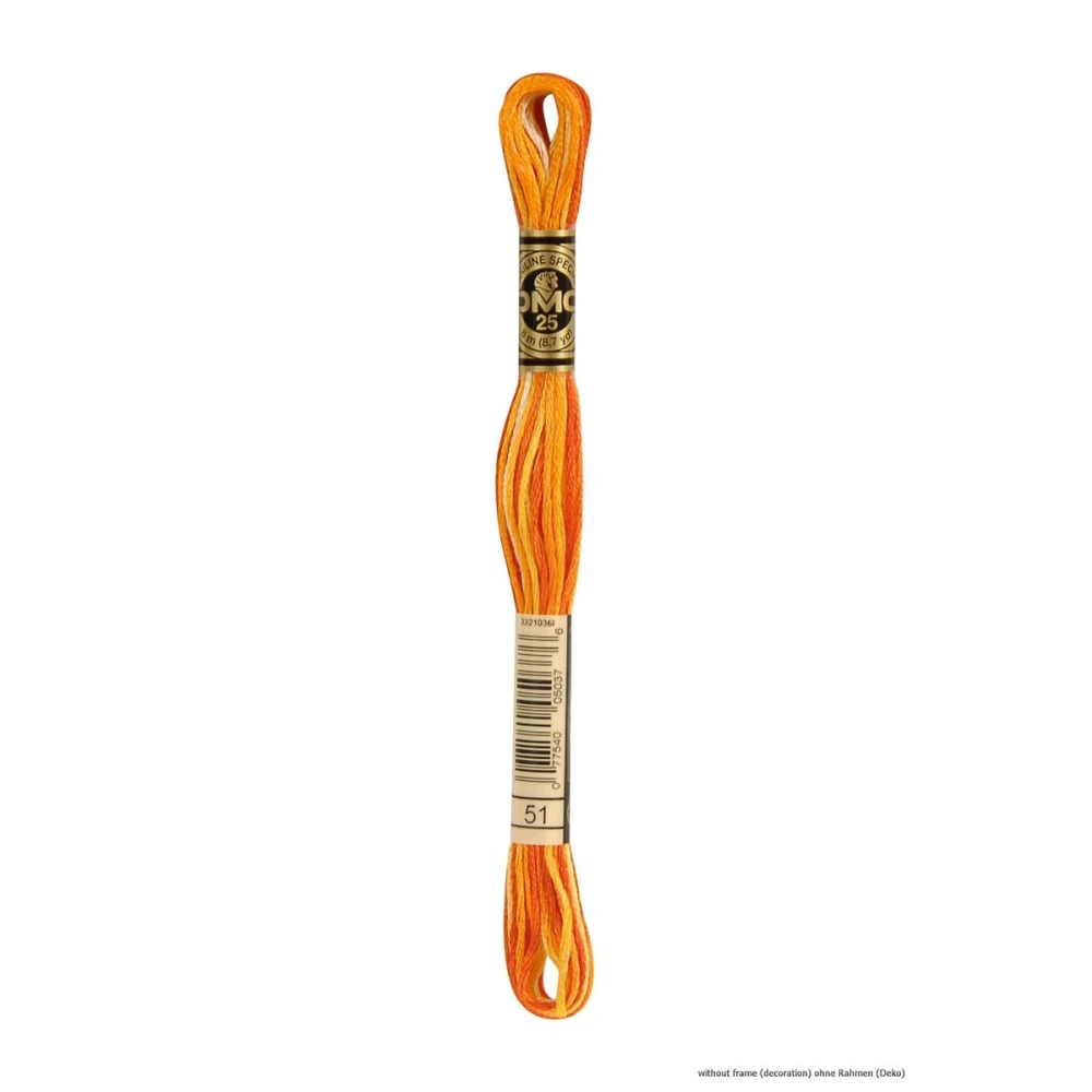 DMC MOULINE MULTICOLOR