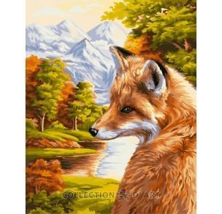 Painting by Number `Fox`, 40cm x 50cm, Collection D`Art