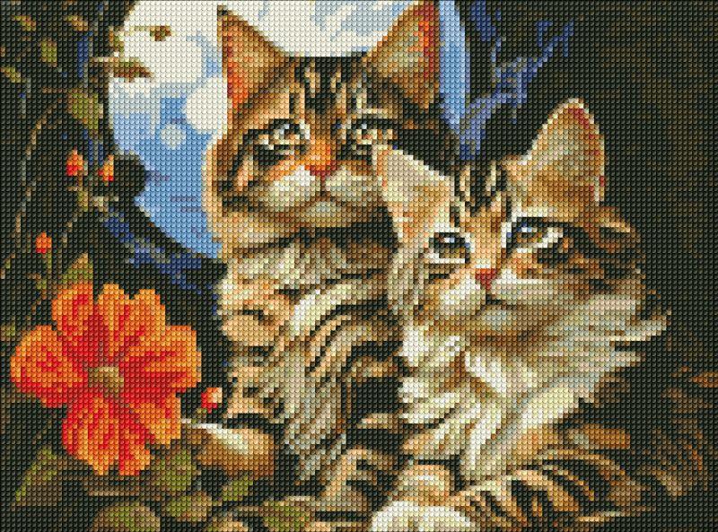  Diamond Mosaic Neodoljivi mačići 30x40 cm