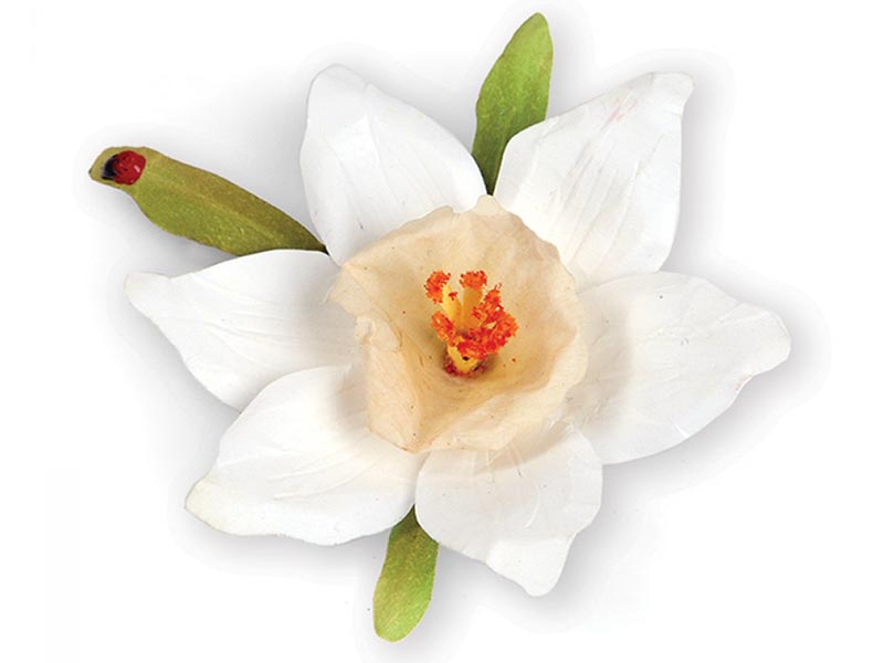 SIZZIX thinlits sekač - Flower, Narcissus (Paperwhites)